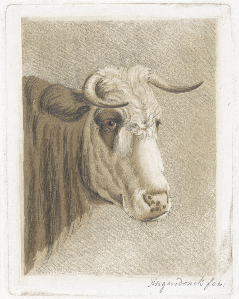 Koekop by Diederik Jan Singendonck (signed by artist)