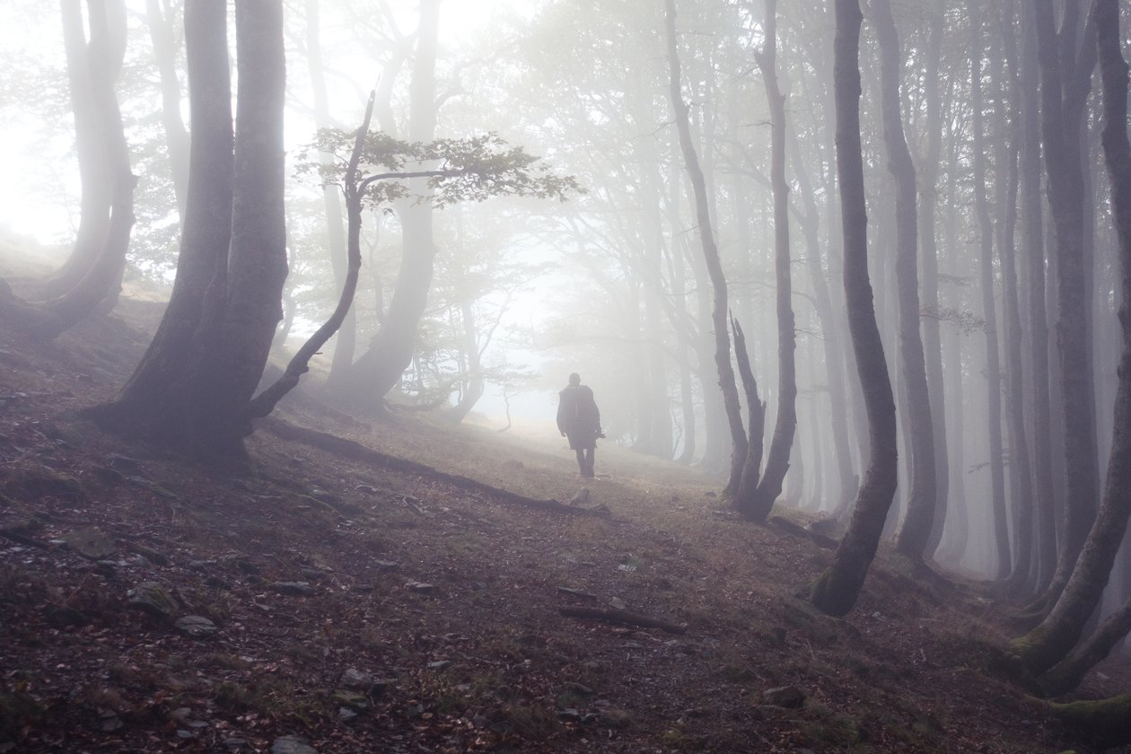 Road to Roncesvalles with Pilgrim, 2016 by Diego Beyro