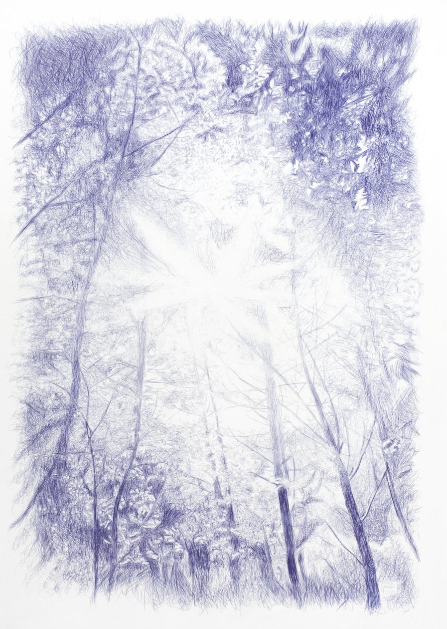 Backlight, 2024 by Diego Beyro