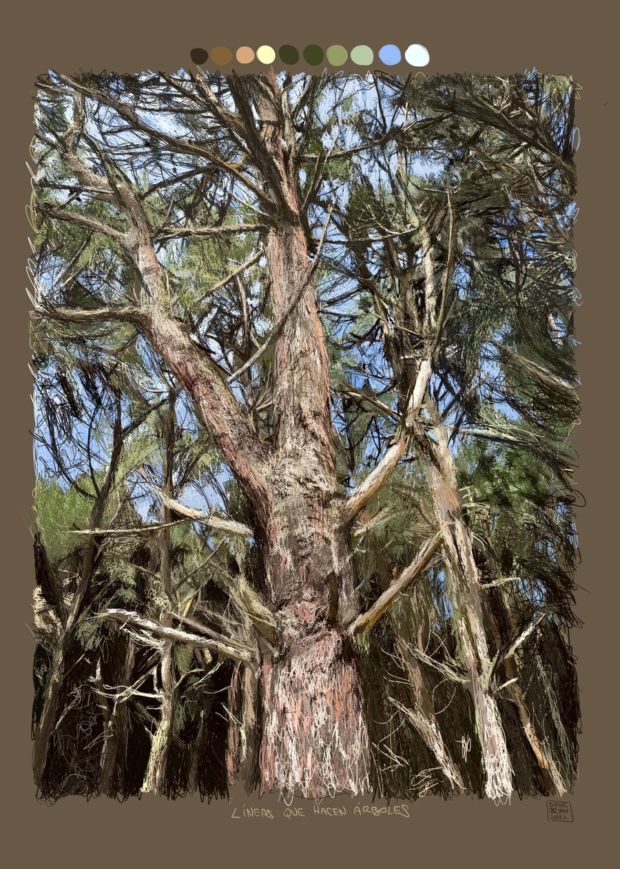 Lines that Make Trees, 2022 by Diego Beyro