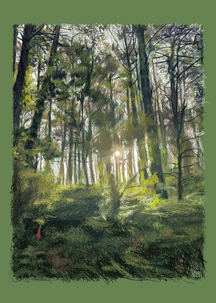 Branches and Trees in Backlight, 2022 by Diego Beyro