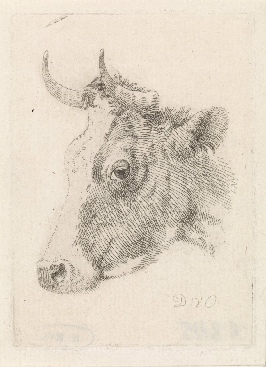 Head of a Bull, Drawing by Dirk van Oosterhoudt by Dirk van Oosterhoudt  