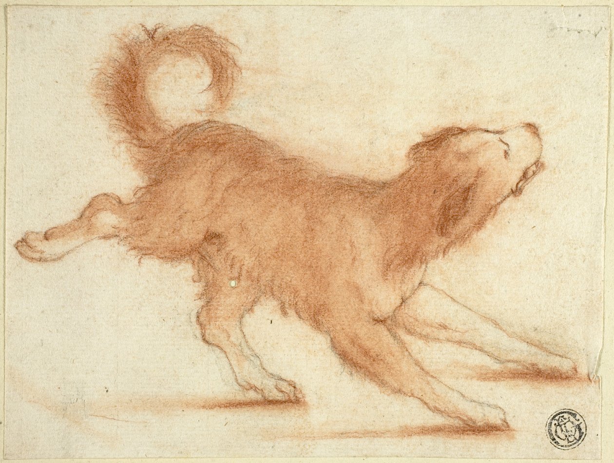 Growling Dog Ready to Pounce by Dirk Valkenburg