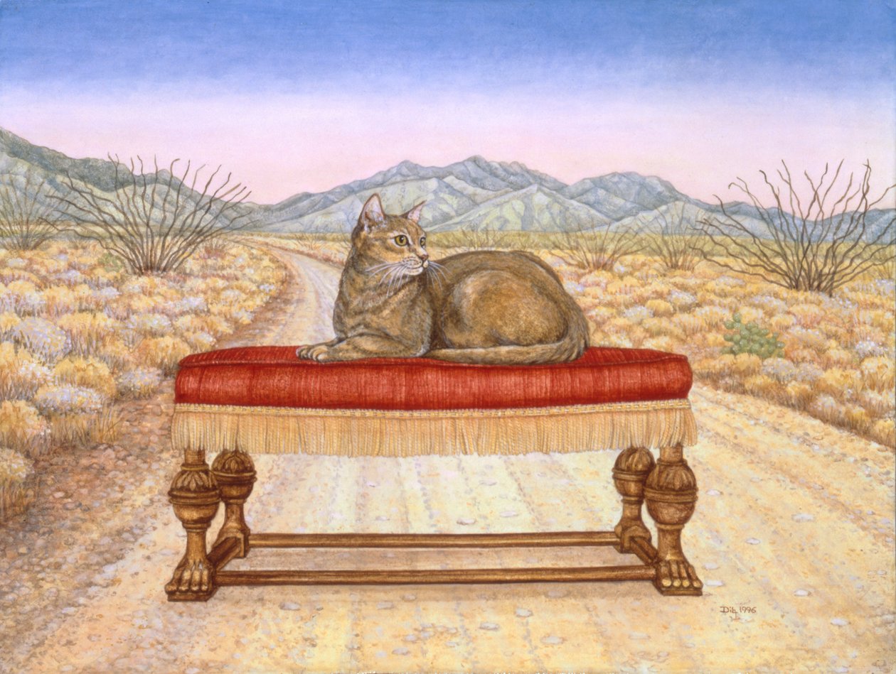 Lounging around at Elkhorn by Ditz Ditz