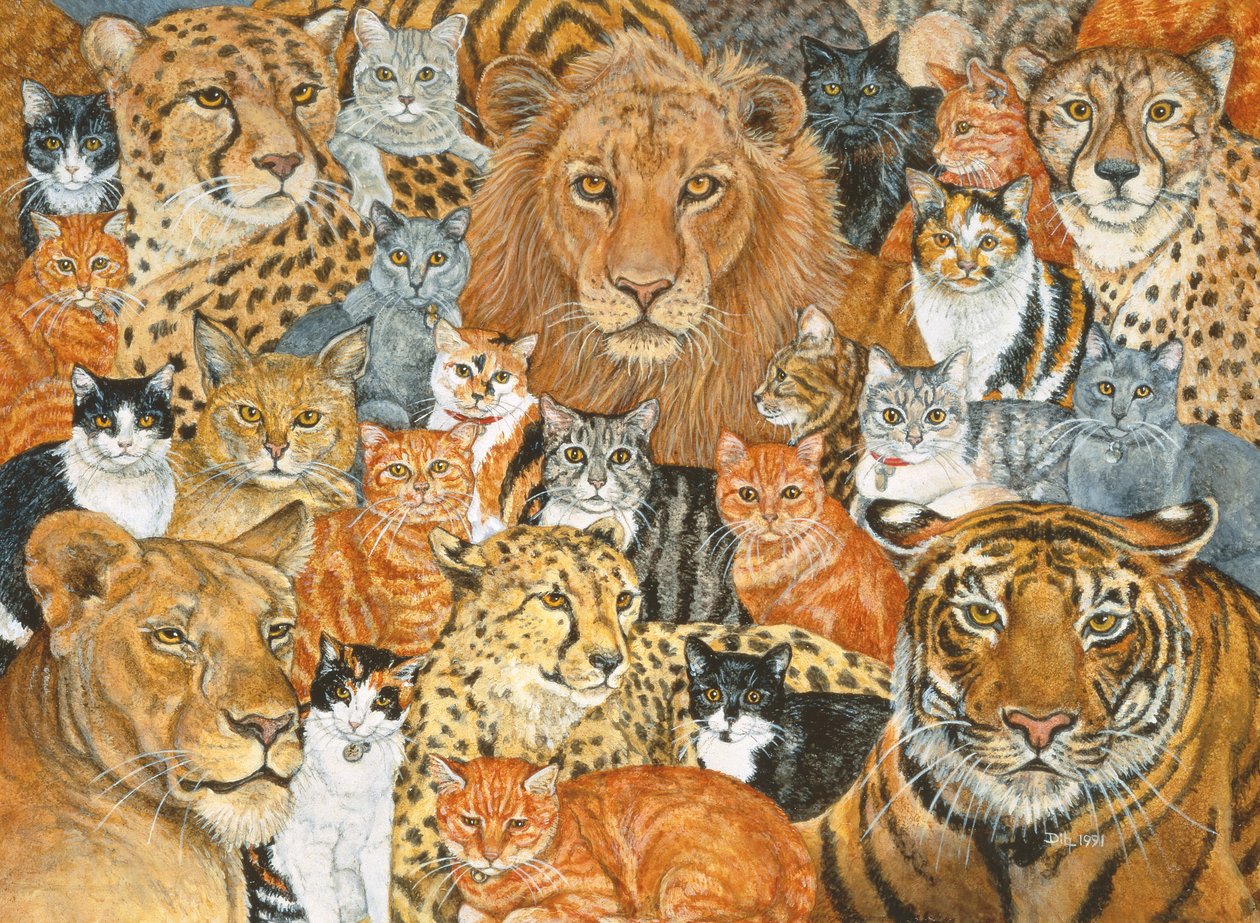 Semi Wild Cat Spread by Ditz