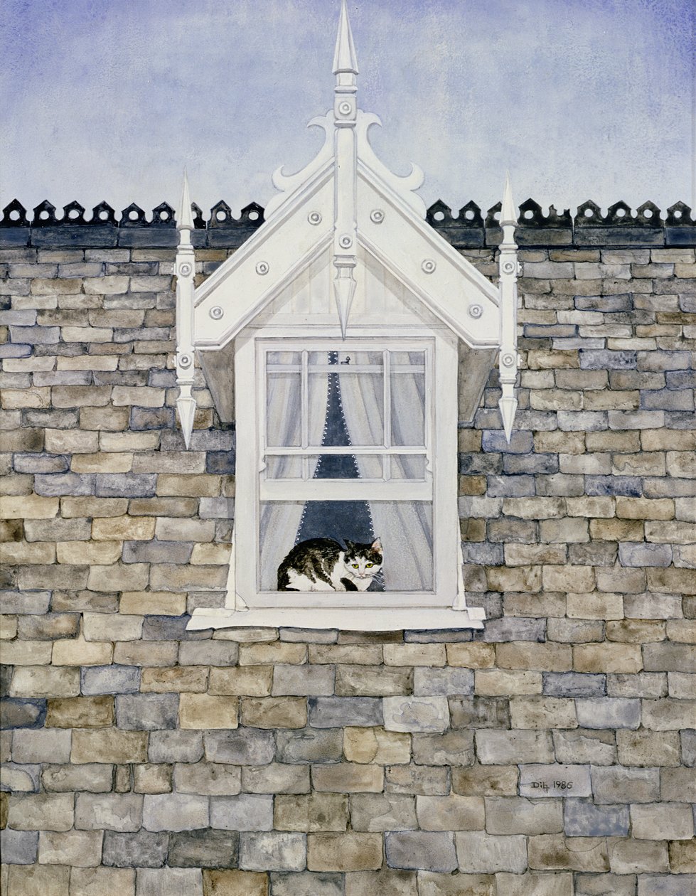 St.Helier Dormer Cat by Ditz