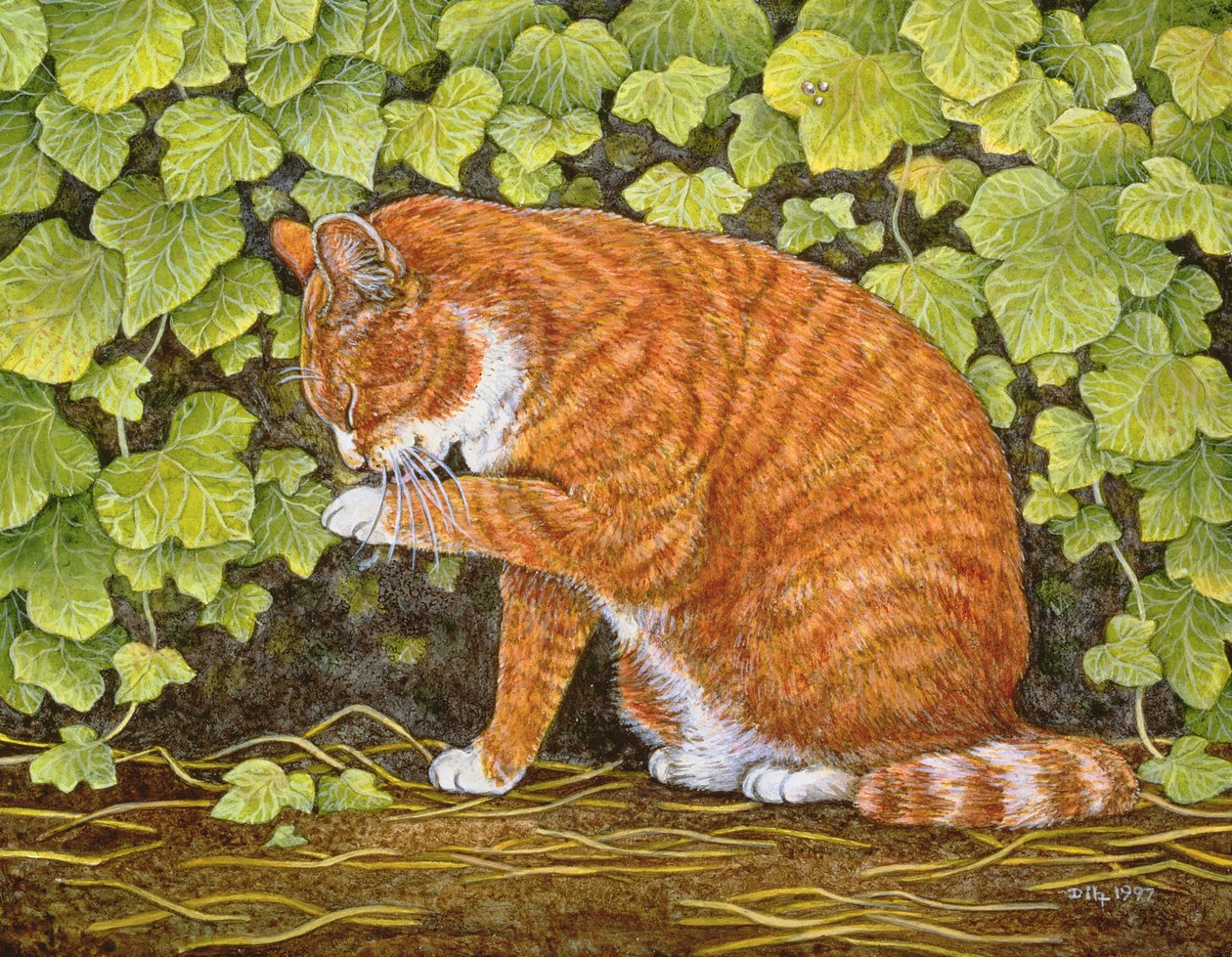 Wash-Day, 1996 by Ditz: Highest-quality art reproduction