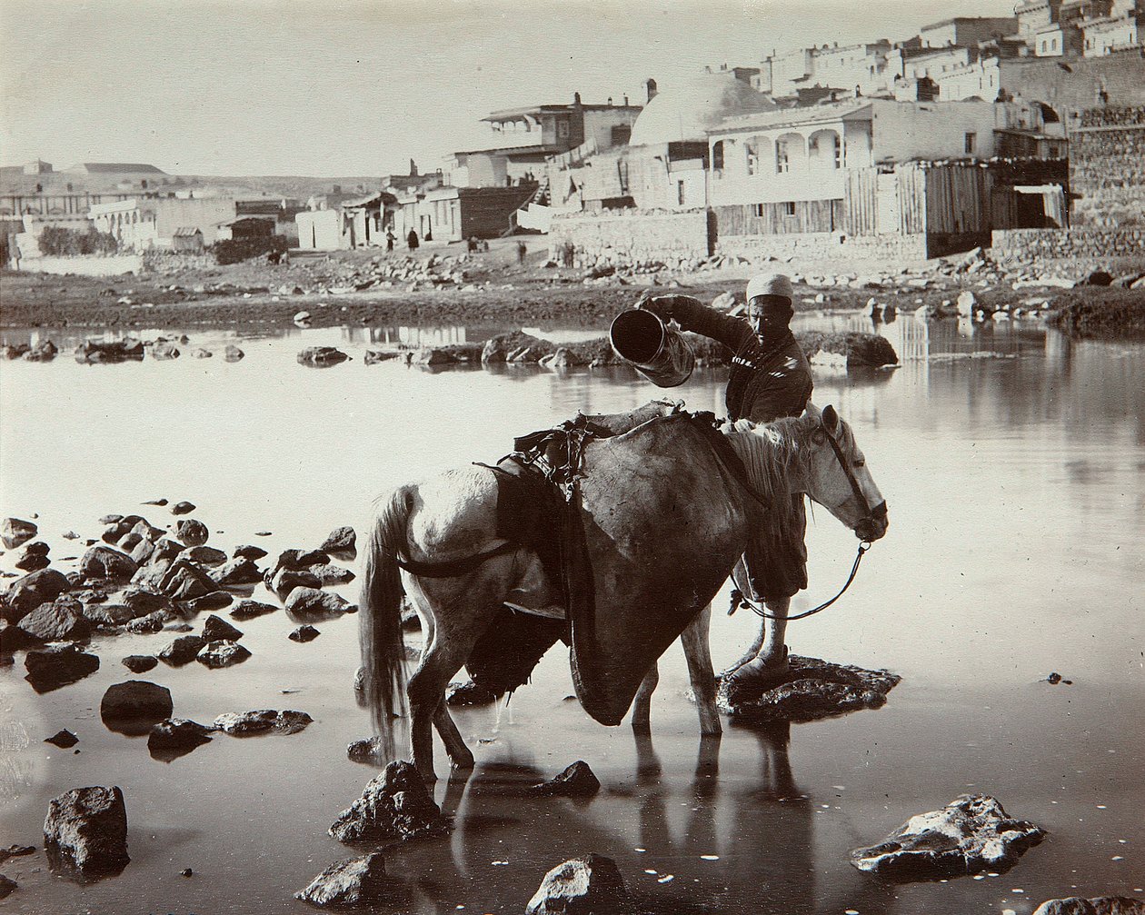 A Watering Place by Dmitri Ivanovich Yermakov