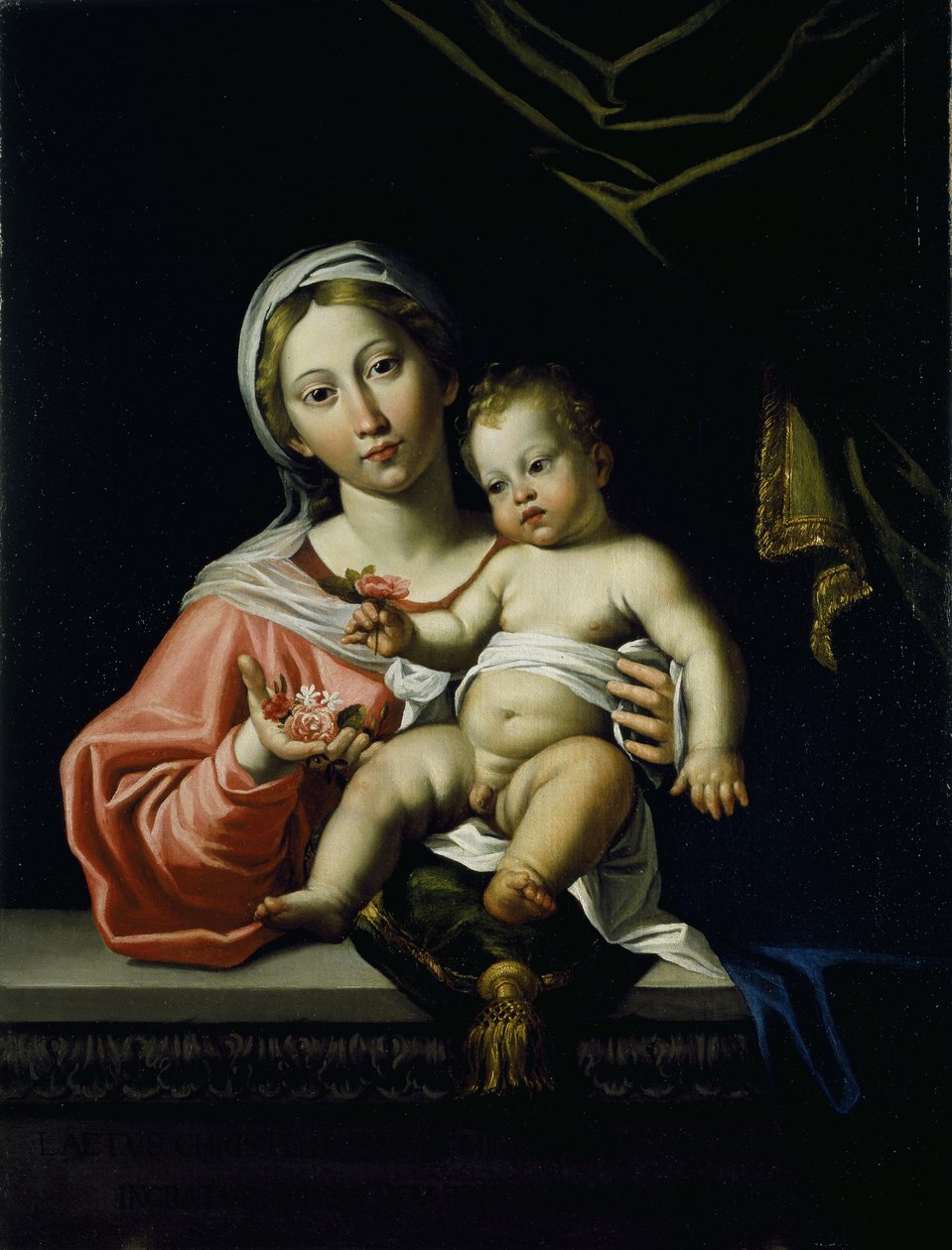 The Madonna della Rosa, before 1627 by Domenichino