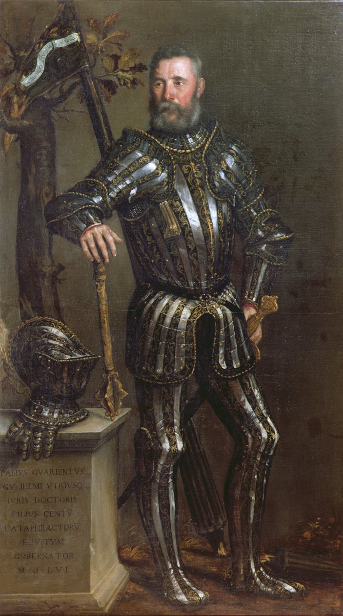Portrait of Pase Guarienti (1500-c.63), Venetian Knight and Noble by Domenico Brusasorci