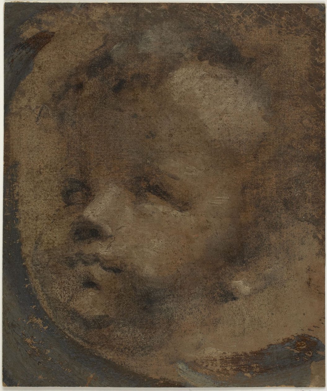 Head of a Putto by Domenico Beccafumi