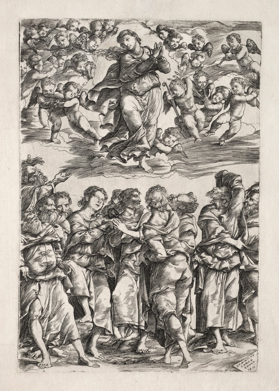 The Assumption of the Virgin by Domenico Campagnola