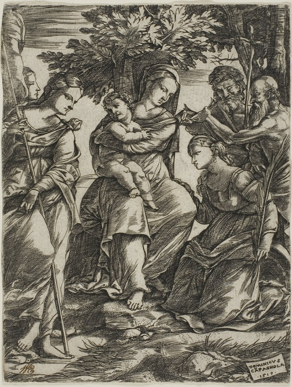 Virgin and Child with Saints by Domenico Campagnola