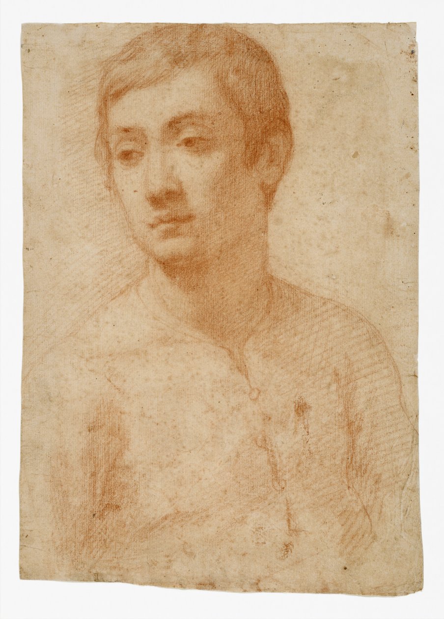 The Head of a Youth by Domenico Cresti
