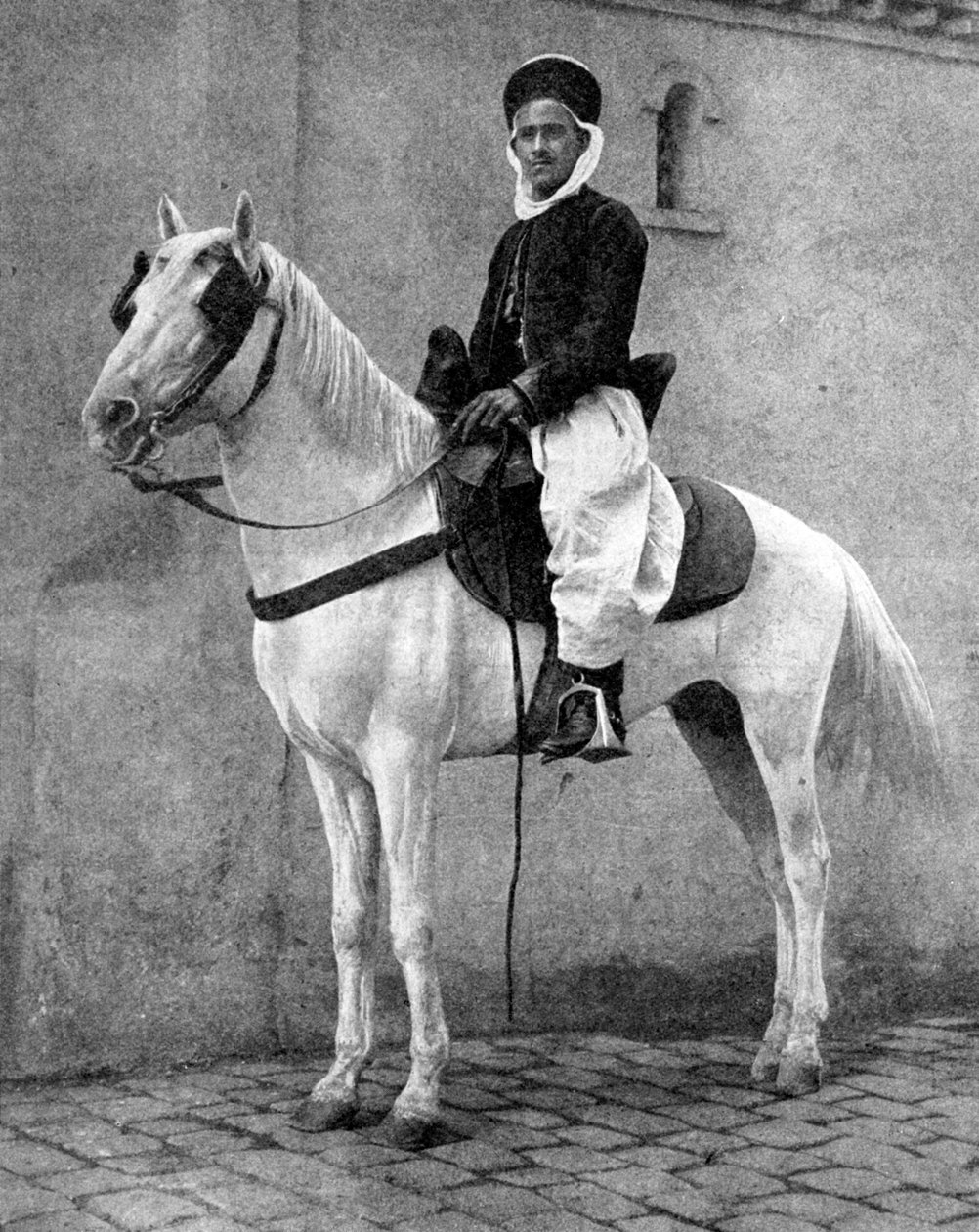 Berber horseman of the French Army by Donald McLeish
