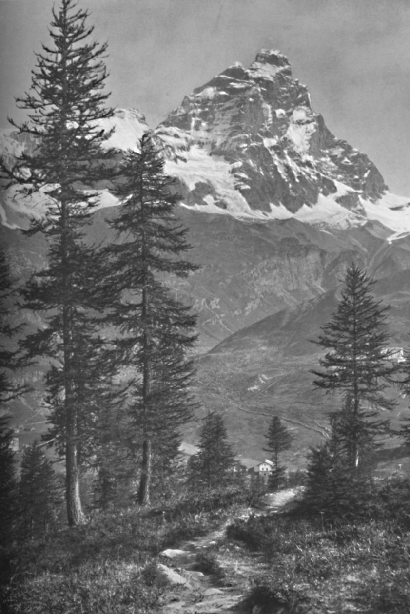 The Matterhorn from the Italian Side, Forest of Brueil, 1917 by Donald McLeish