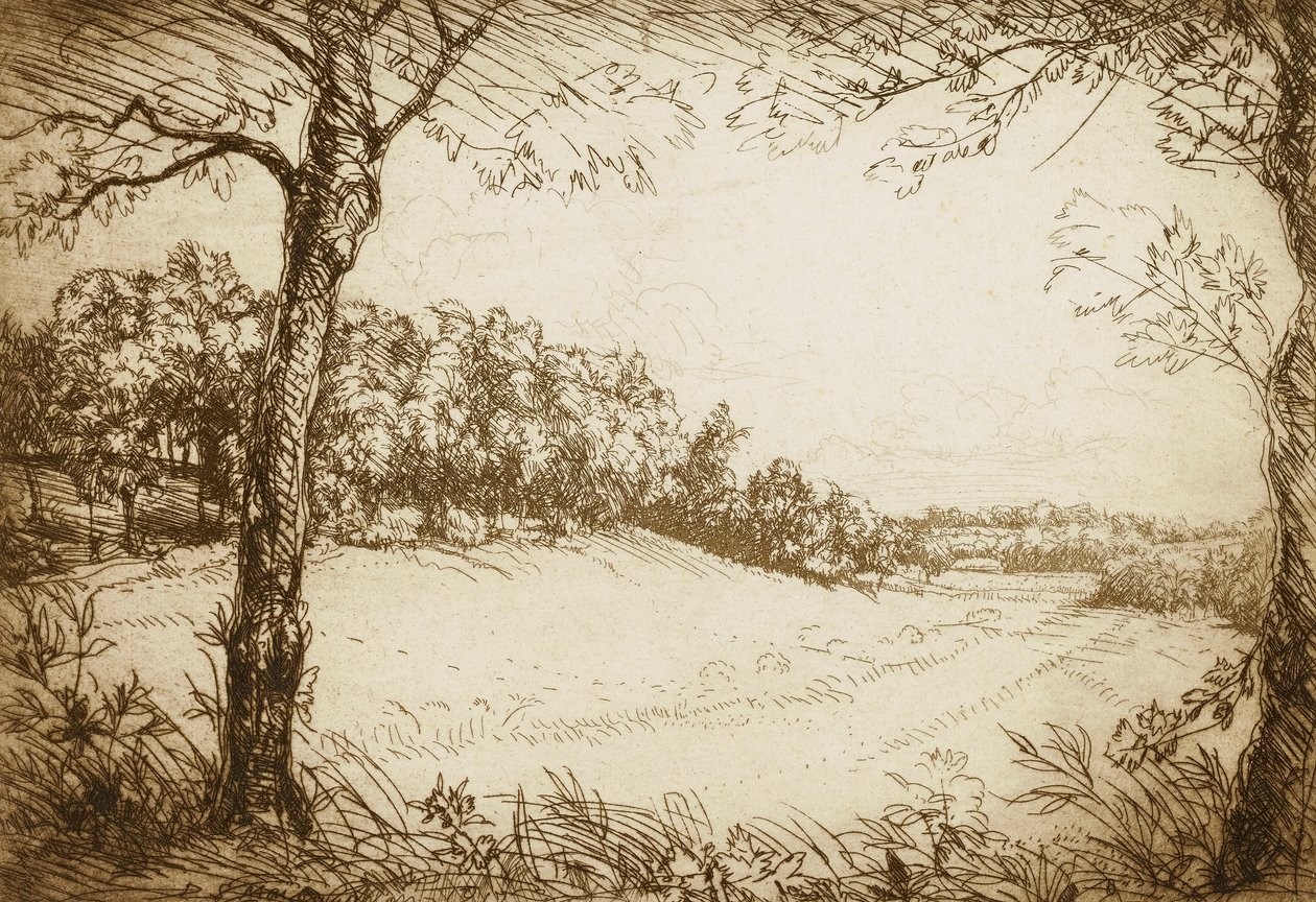 Summer Morning in Tennessee by Donald Shaw MacLaughlan