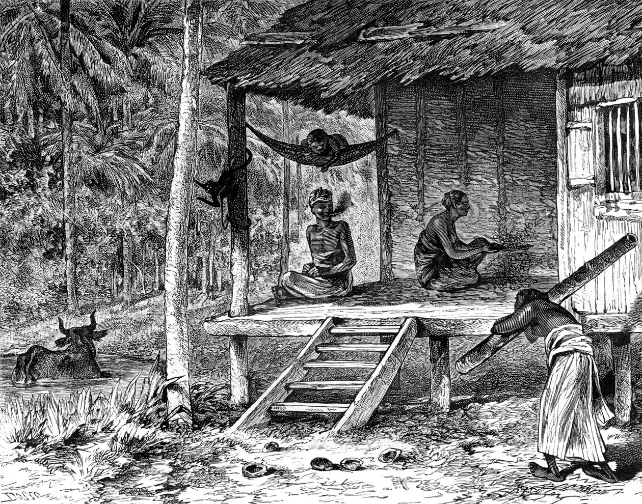 Malaysian hut, 19th century by Dosso
