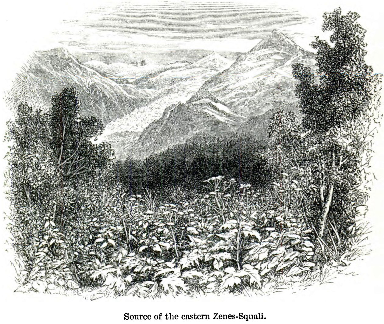 Source of the Eastern Zenes-Squali Travels in the Central Caucasus and Bashan by Douglas William Freshfield