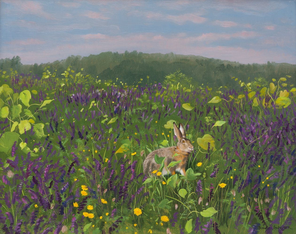 Hare in Vines and Vetch 2000 by Douglas Anderson