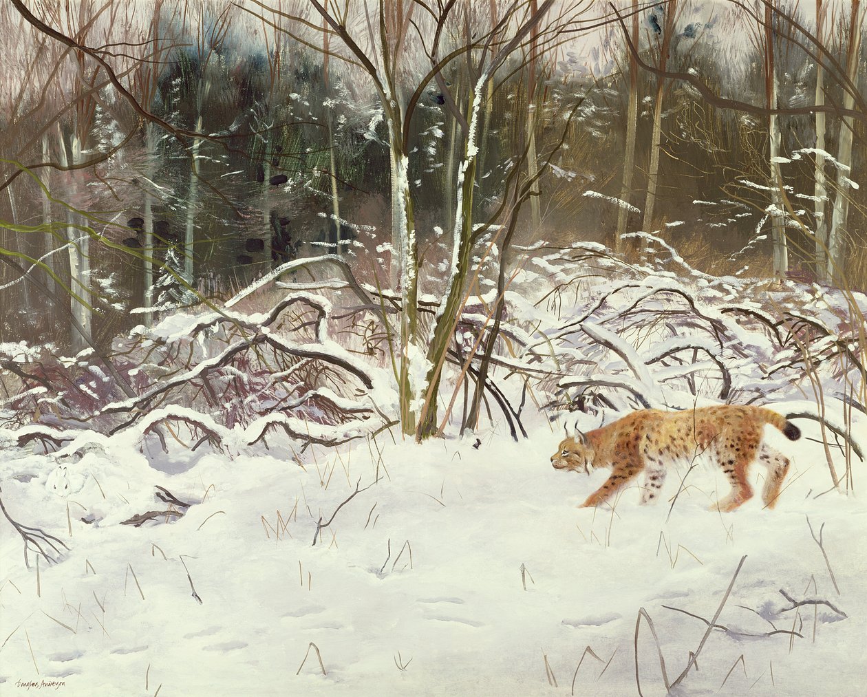 Lynx and Hare by Douglas Anderson