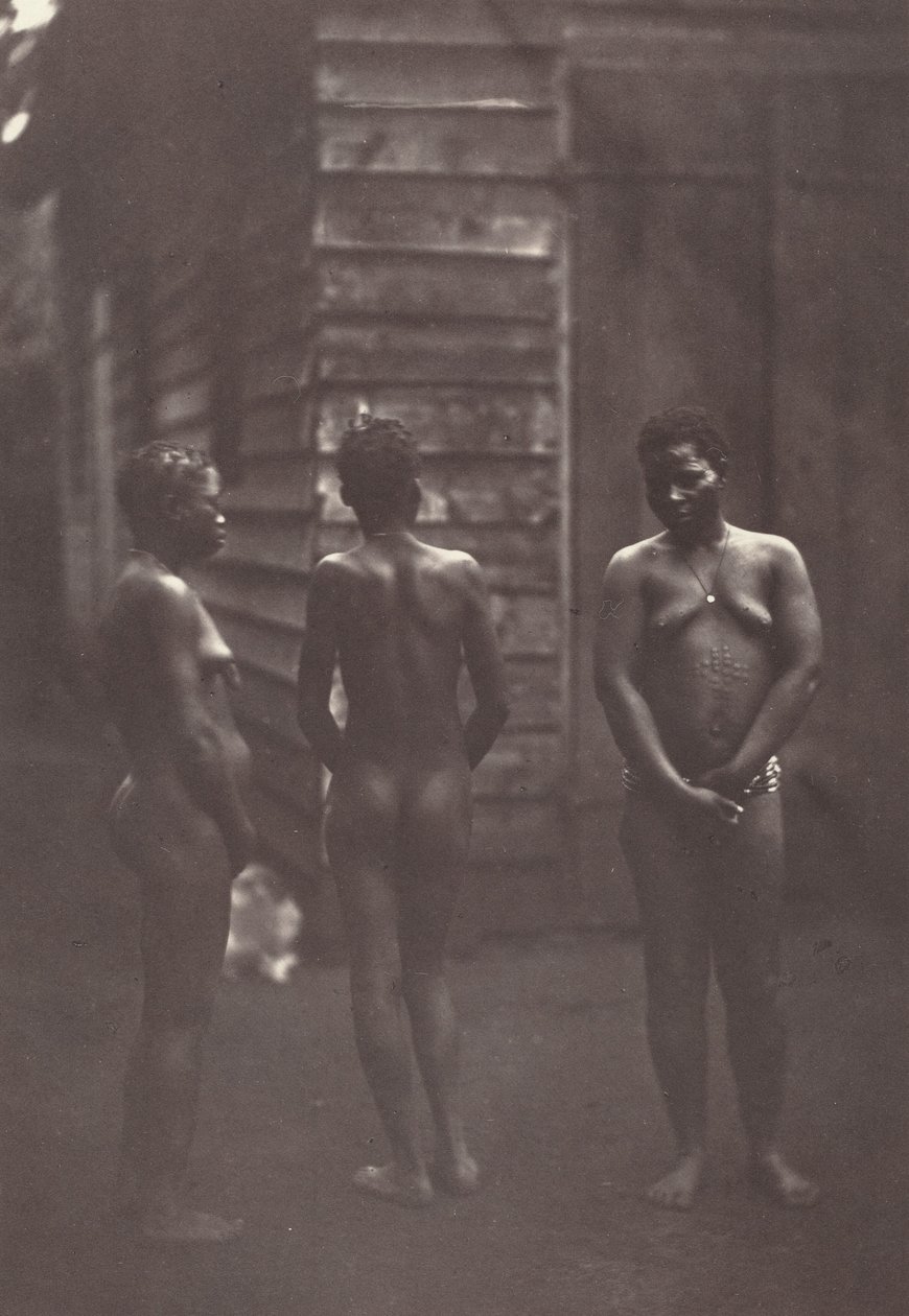 Three Malagasy Women (Plate 30) by Désiré Charnay