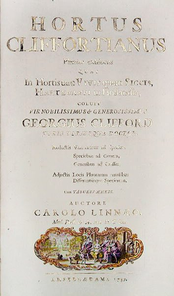 Title page of Hortus Cliffortianus by Carl Linnaeus, Amsterdam, 1737 by Dutch School