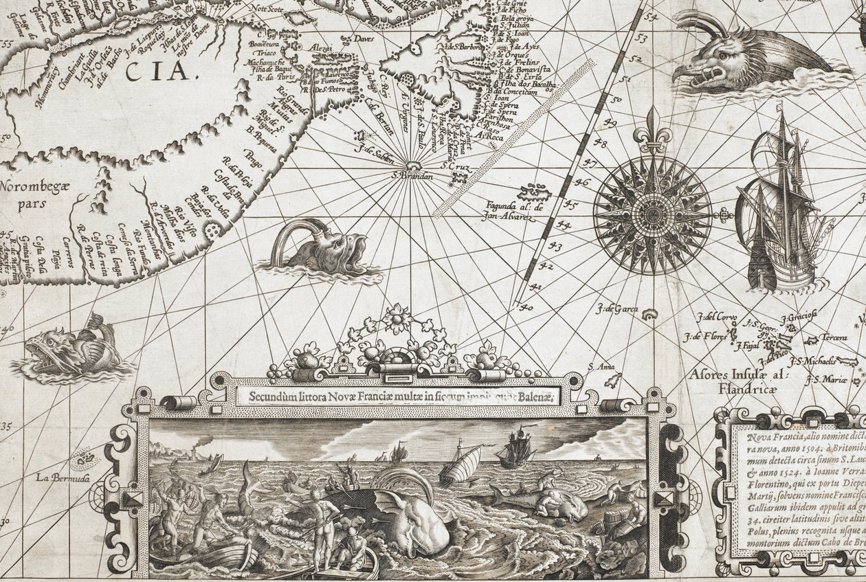A detail of two old-fashioned whale-like sea monsters and an inset with more lifelike whales, from 