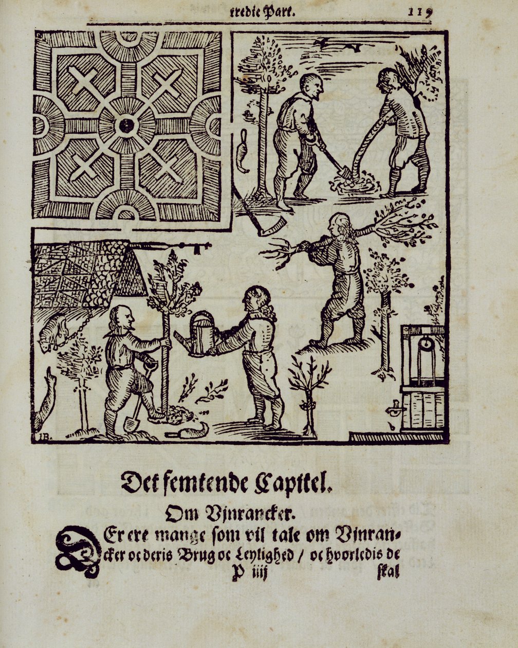 Planting trees, from The Dutch Gardener by Johann van der Groen, published 1699 by Dutch School