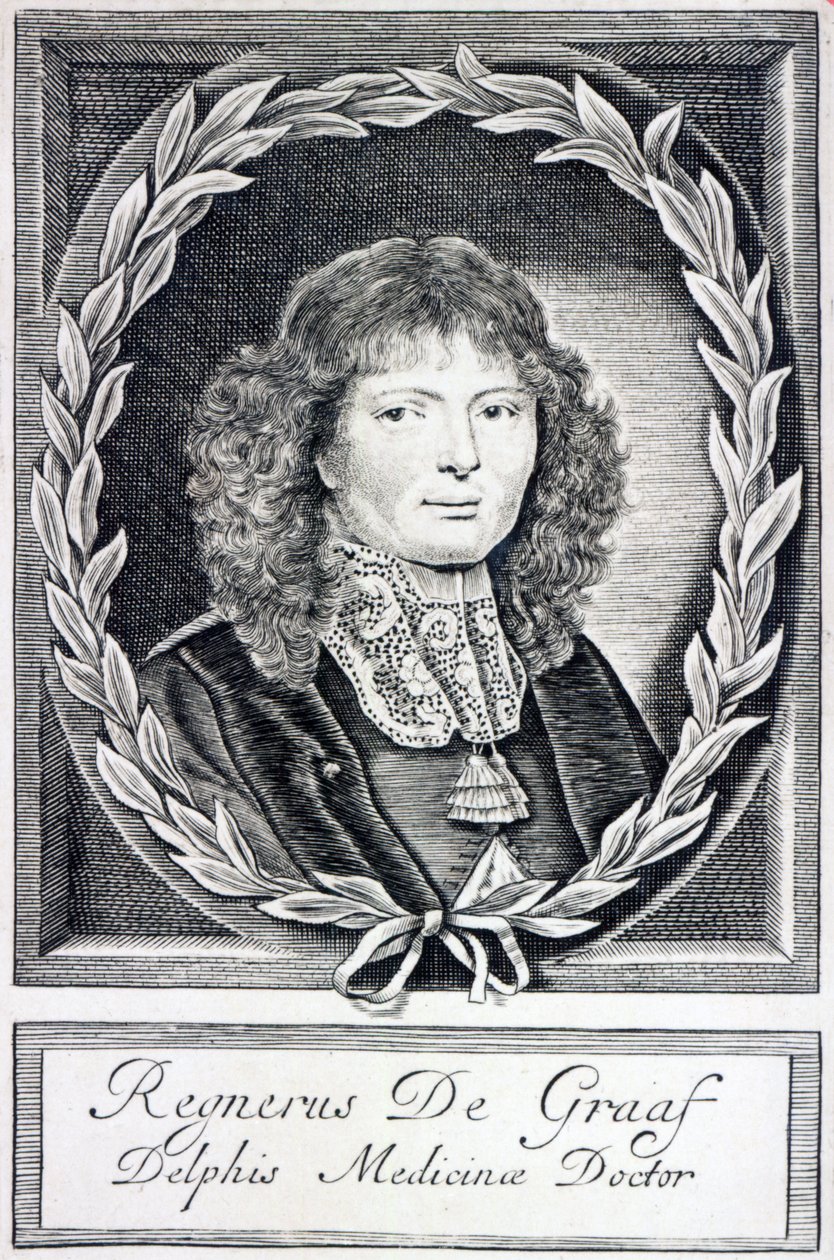 Regnier de Graaf, c.1670 by Dutch School