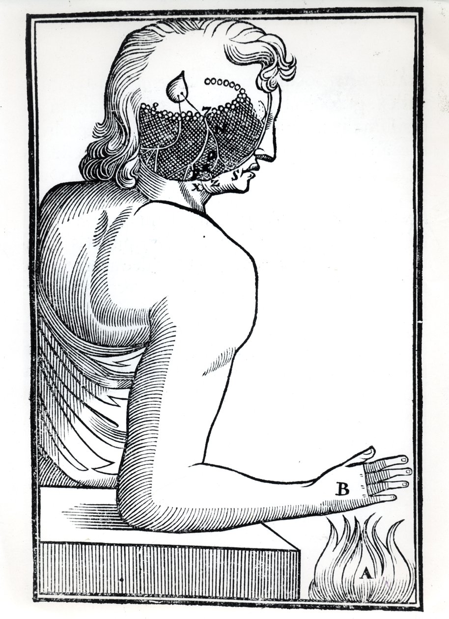 The Perception of the Senses, from De Homine Figuris by Rene Descartes (1596-1650) published in Amsterdam, 1677 by Dutch School