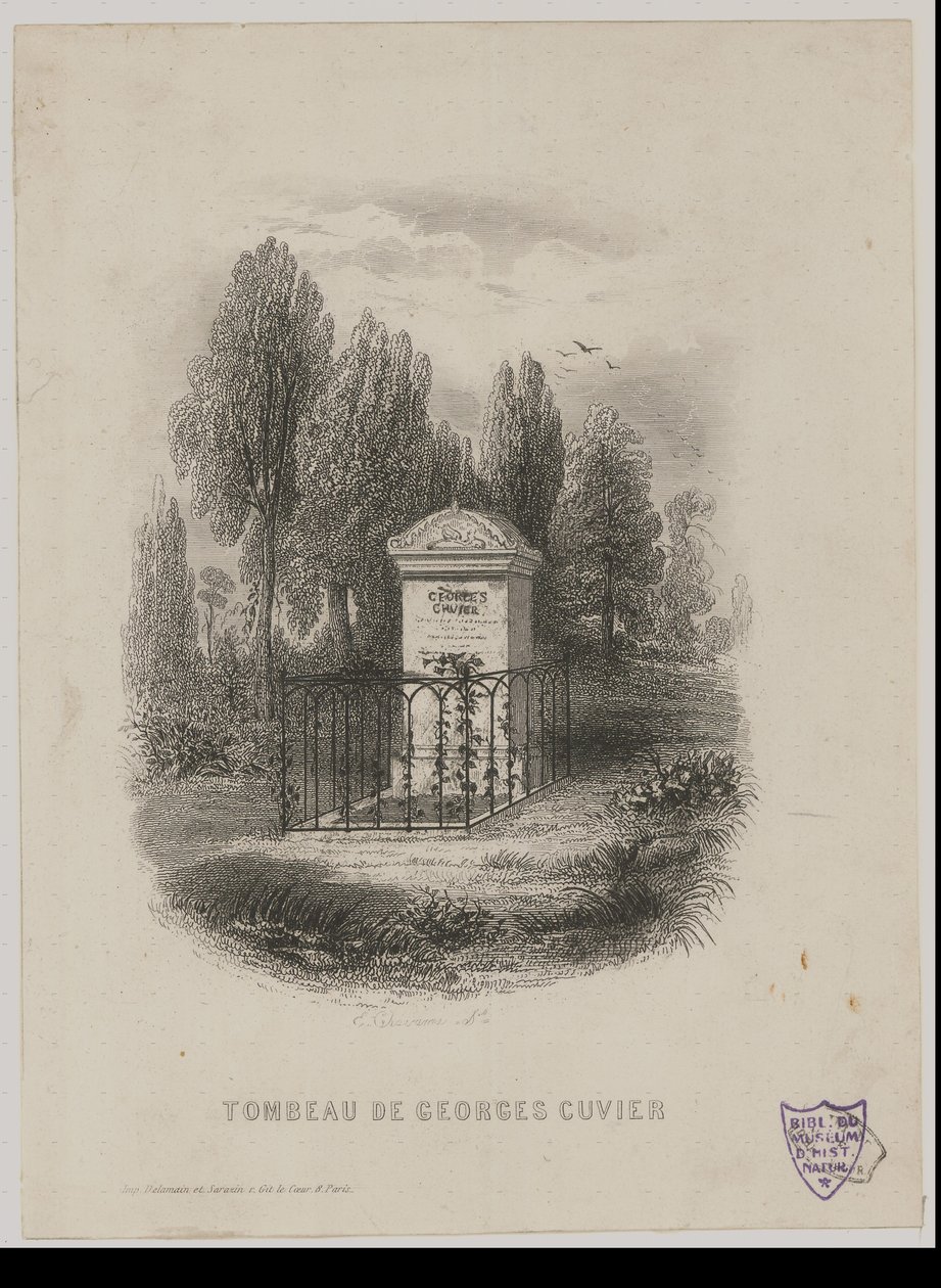 Tomb of Georges Cuvier by E. Chavanne