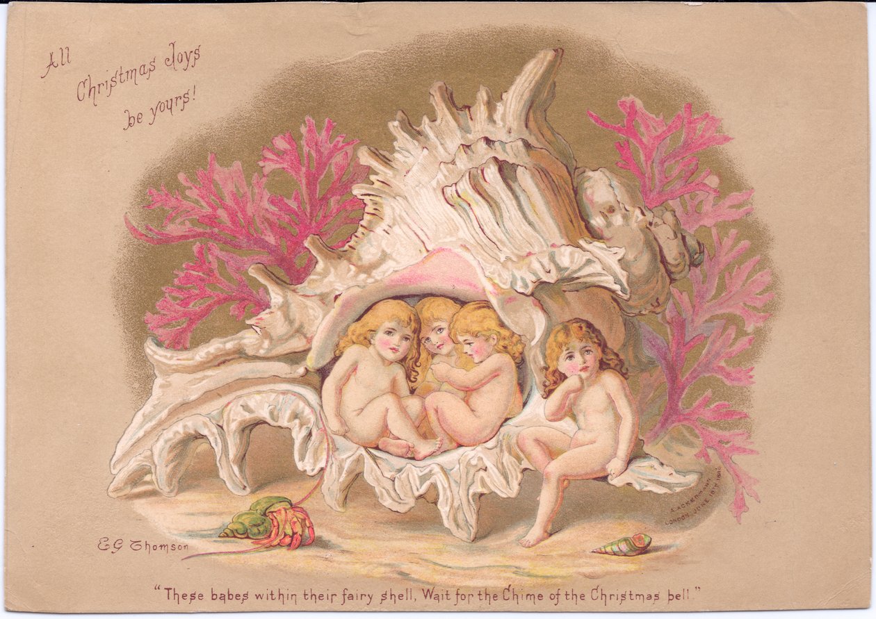 A Victorian Christmas card of four water babies sitting inside a Ramrose Murex sea shell, against a background of coral and a hermit crab inside its shell, by Gertrude Thompson by E. Gertrude Thompson
