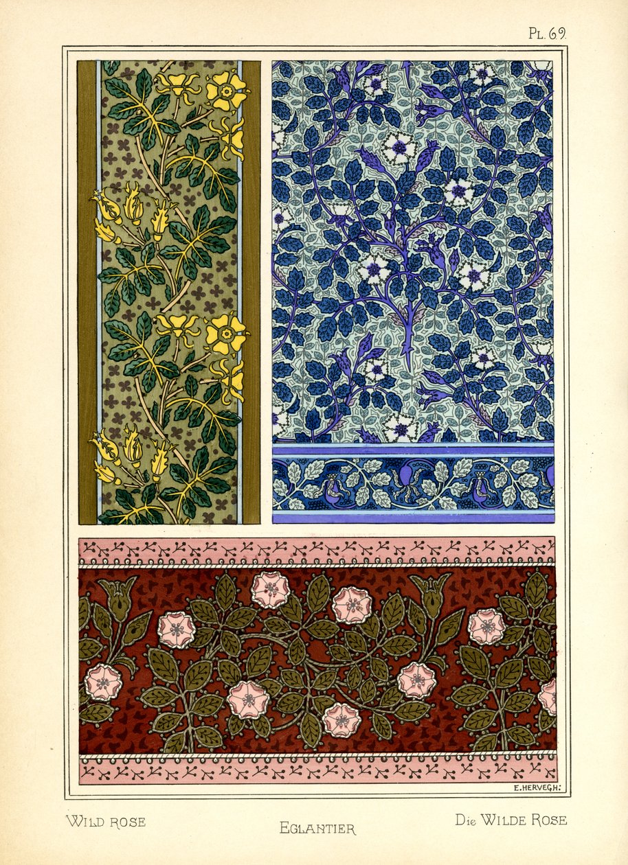 The Wild Rose by E. Hervegh
