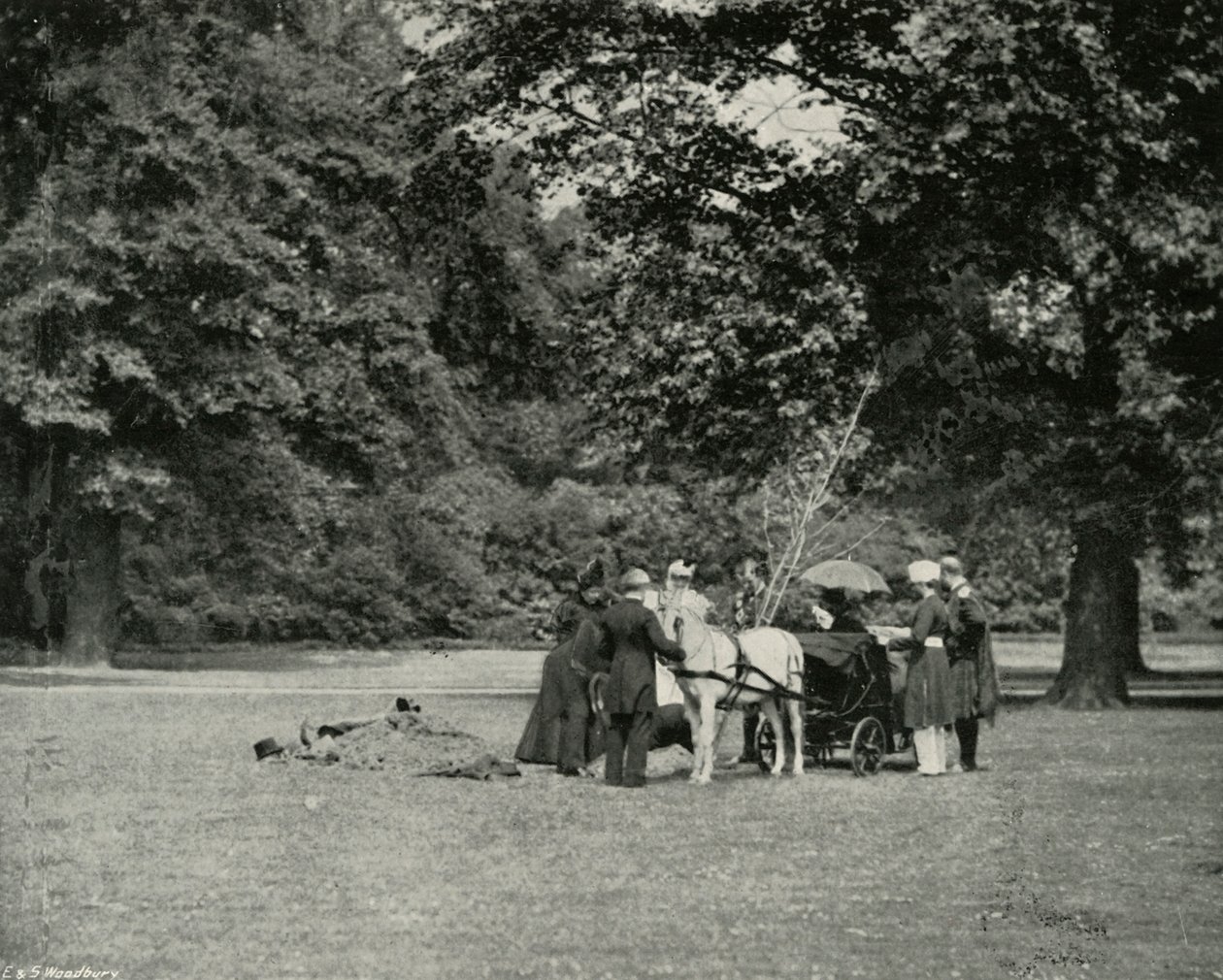 Her Majesty Planting a Tree in the Grounds of Buckingham Palace as a Memorial of the Jubilee by E. and S. Woodbury