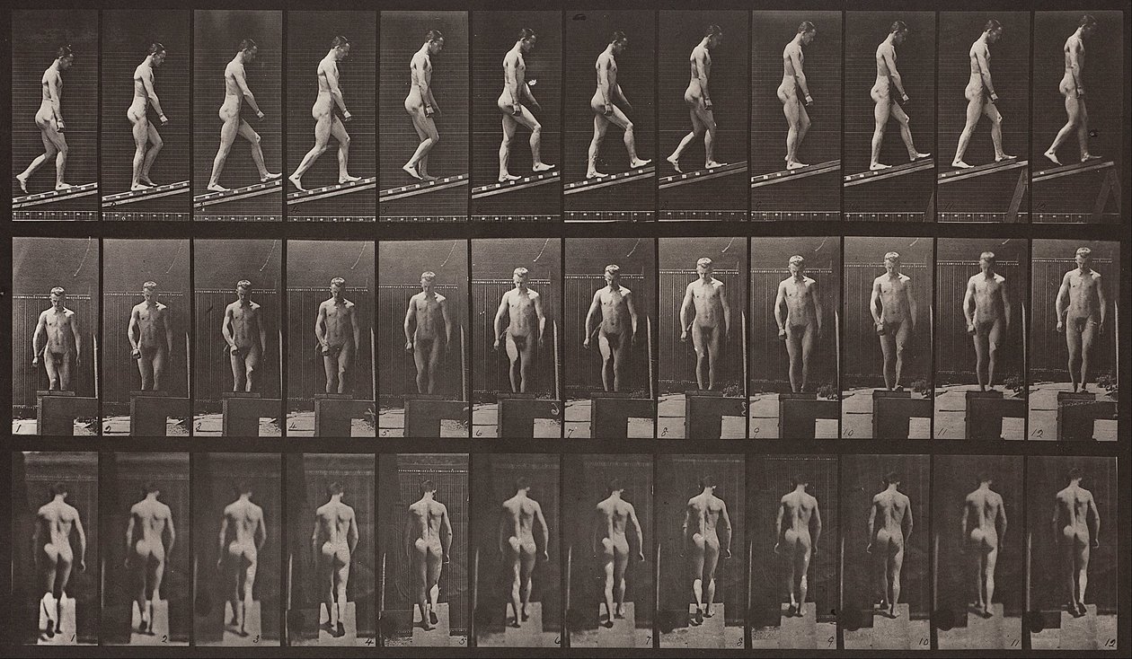 Animal Locomotion, Plate 74 by Eadweard Muybridge