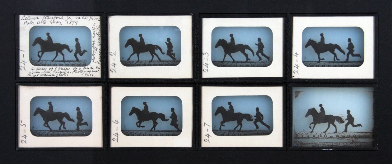 Leland Stanford Jr. on his Pony Gypsy by Eadweard Muybridge