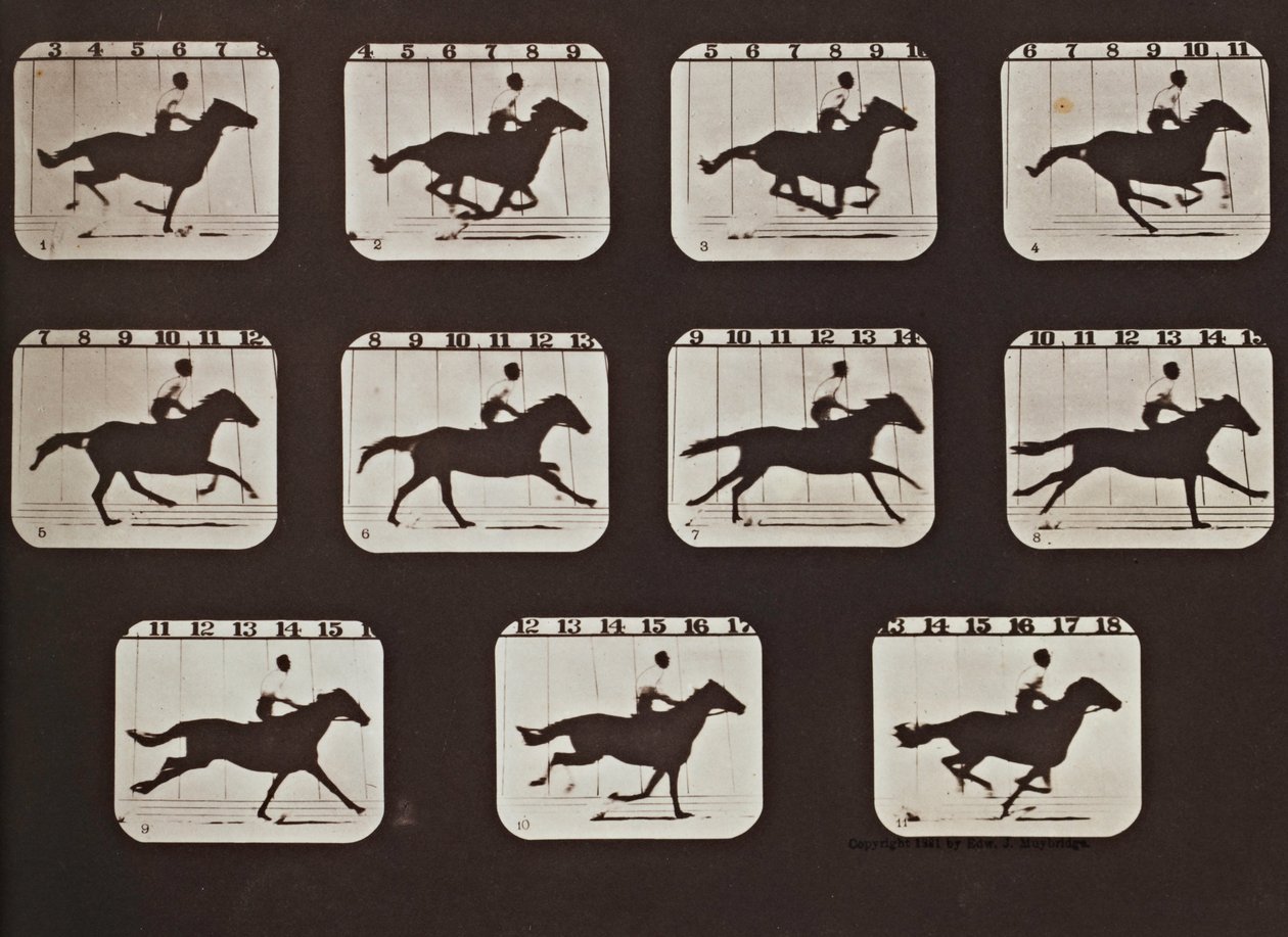 Sallie Gardner Running from The Attitudes of Animals in Motion by Eadweard Muybridge