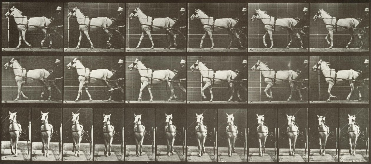 Walking, Sulky, Light Gray Mare, Katydid by Eadweard Muybridge