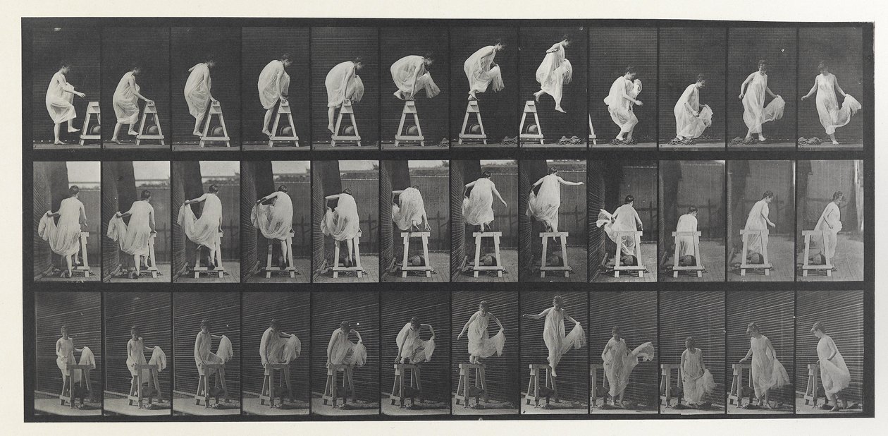 Animal Locomotion Plate by Eadweard Muybridge