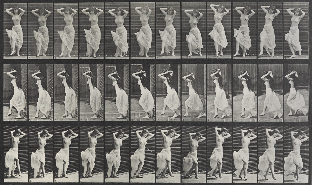 Animal Locomotion Plate 190 by Eadweard Muybridge