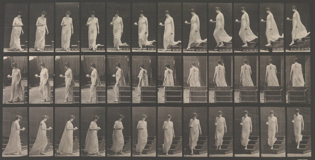 Animal Locomotion. An Electro-Photographic Investigation of Animal Movements by Eadweard Muybridge