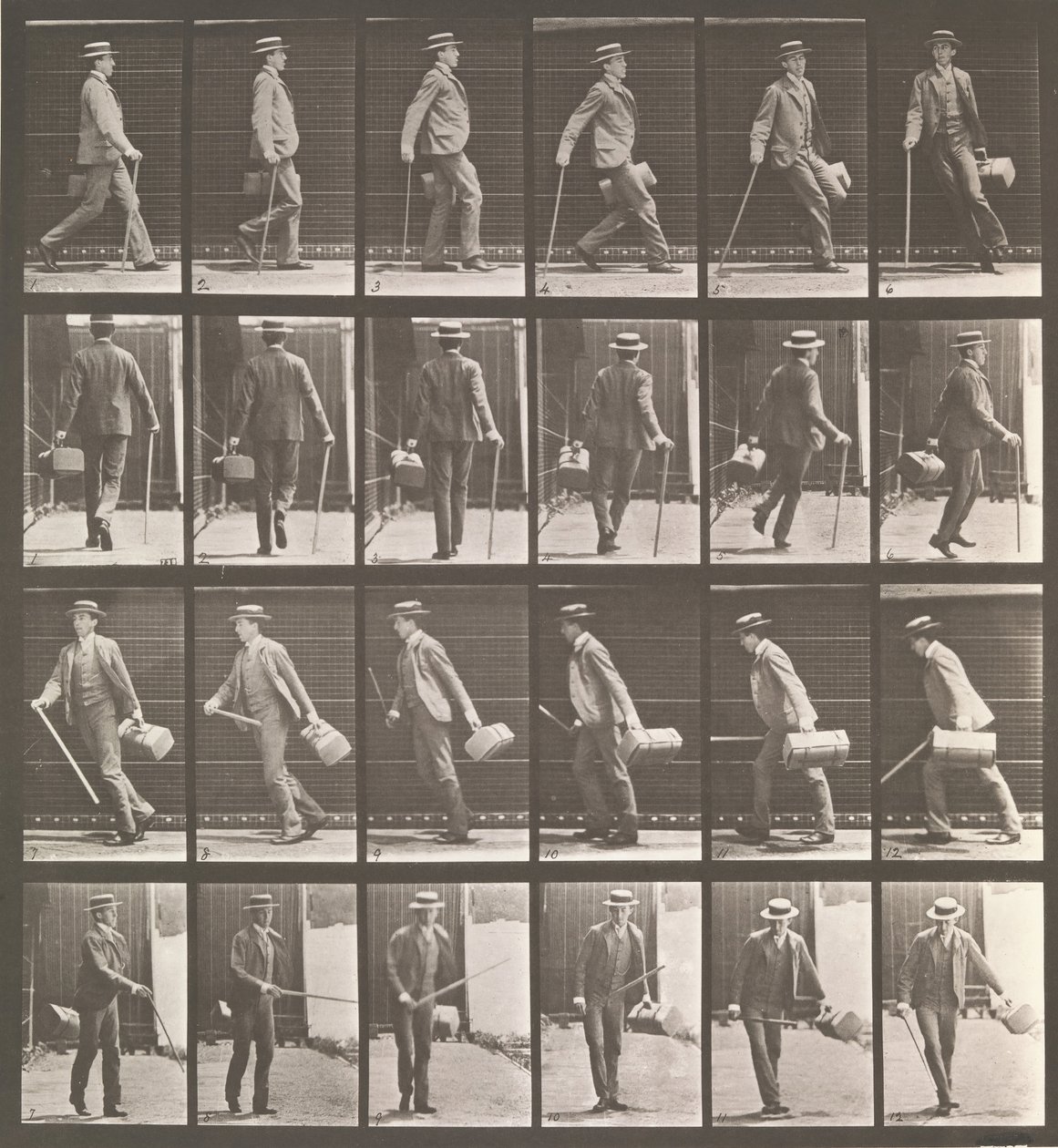 Animal Locomotion. An Electro-Photographic Investigation of Animal Movements, 1880s by Eadweard Muybridge
