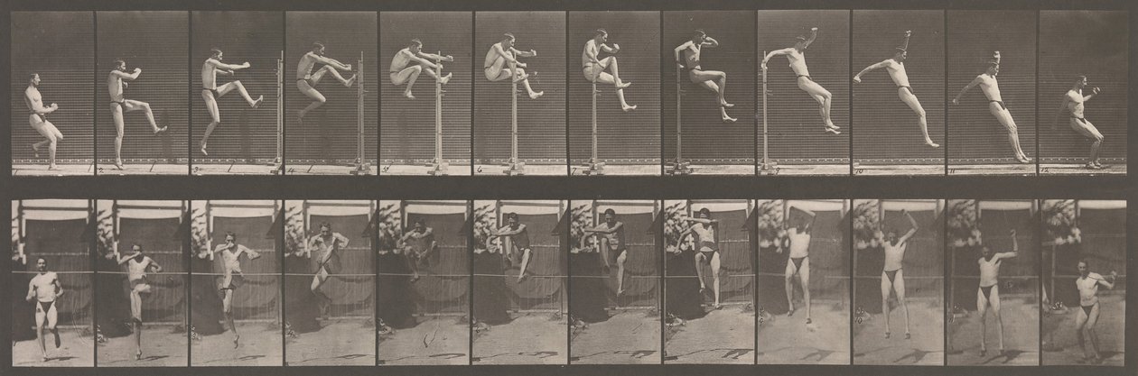Animal Locomotion. An Electro-Photographic Investigation of Consecutive Phases of Animal by Eadweard Muybridge