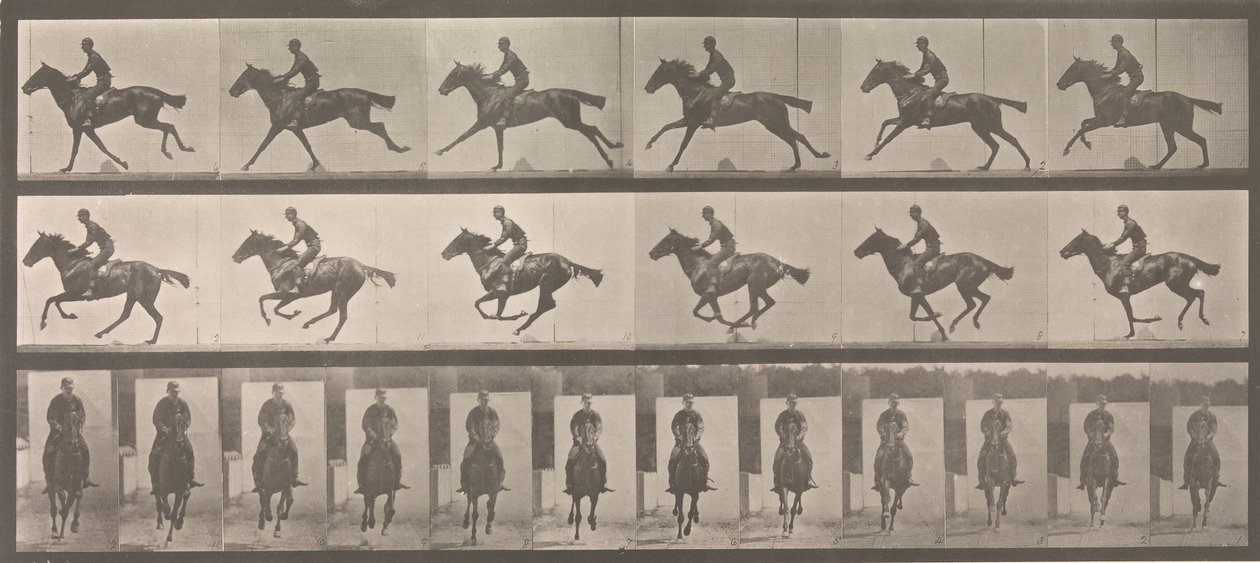 Horse and Rider Galloping by Eadweard Muybridge