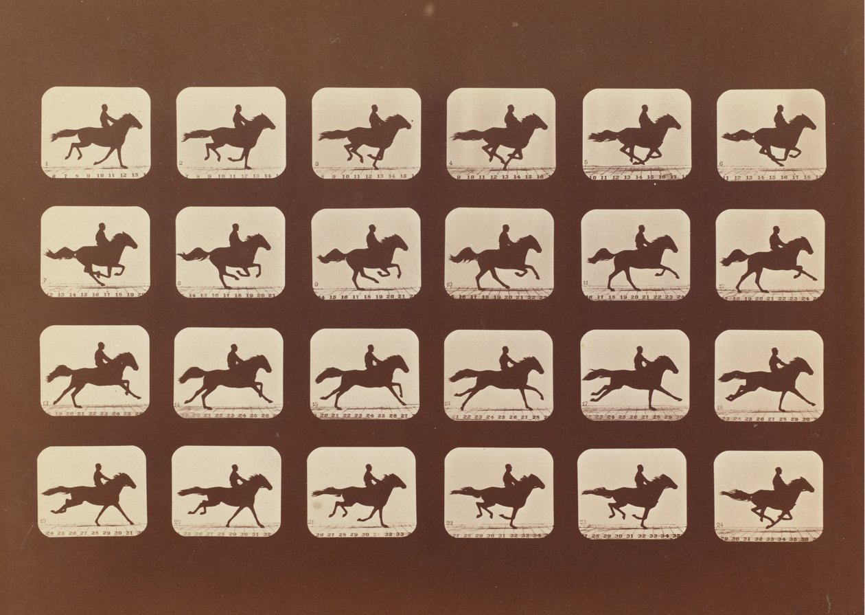 Horses. Running. Phyrne L. No. 40, 1879 by Eadweard Muybridge