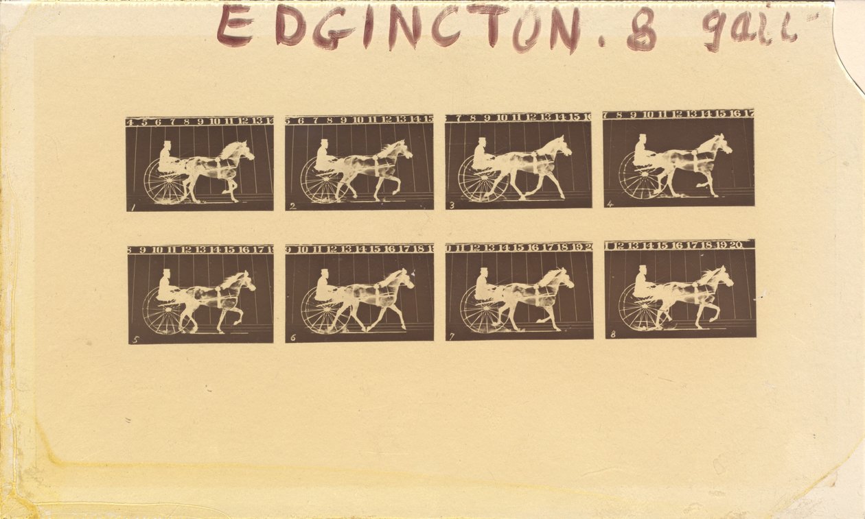 Internegative for Horses. Trotting. Abe Edgington. No. 28 by Eadweard Muybridge
