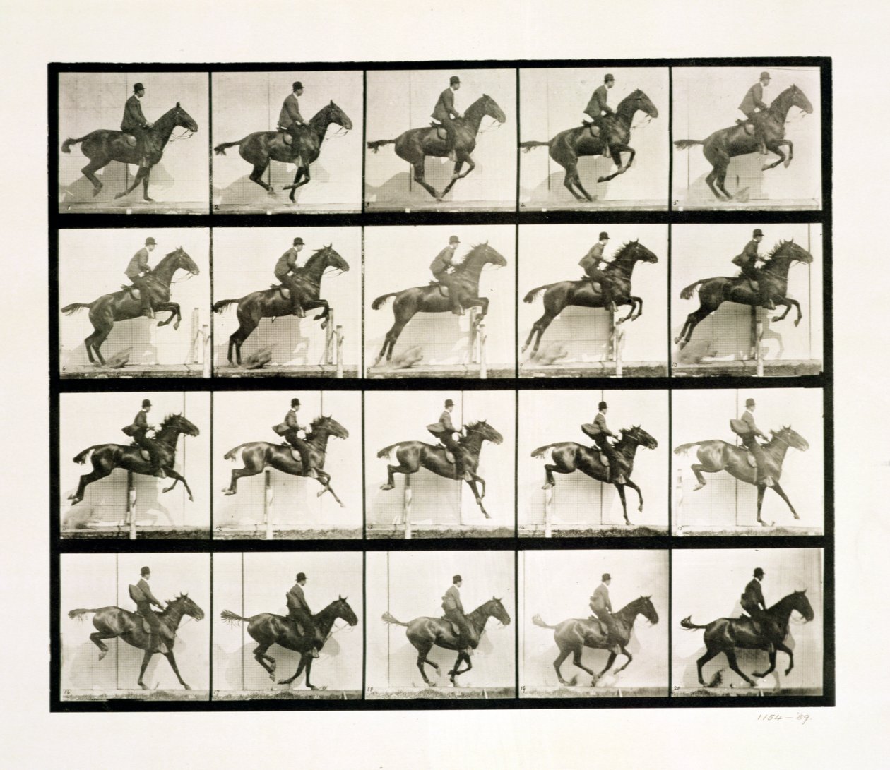 Man and Horse Jumping a Fence by Eadweard Muybridge
