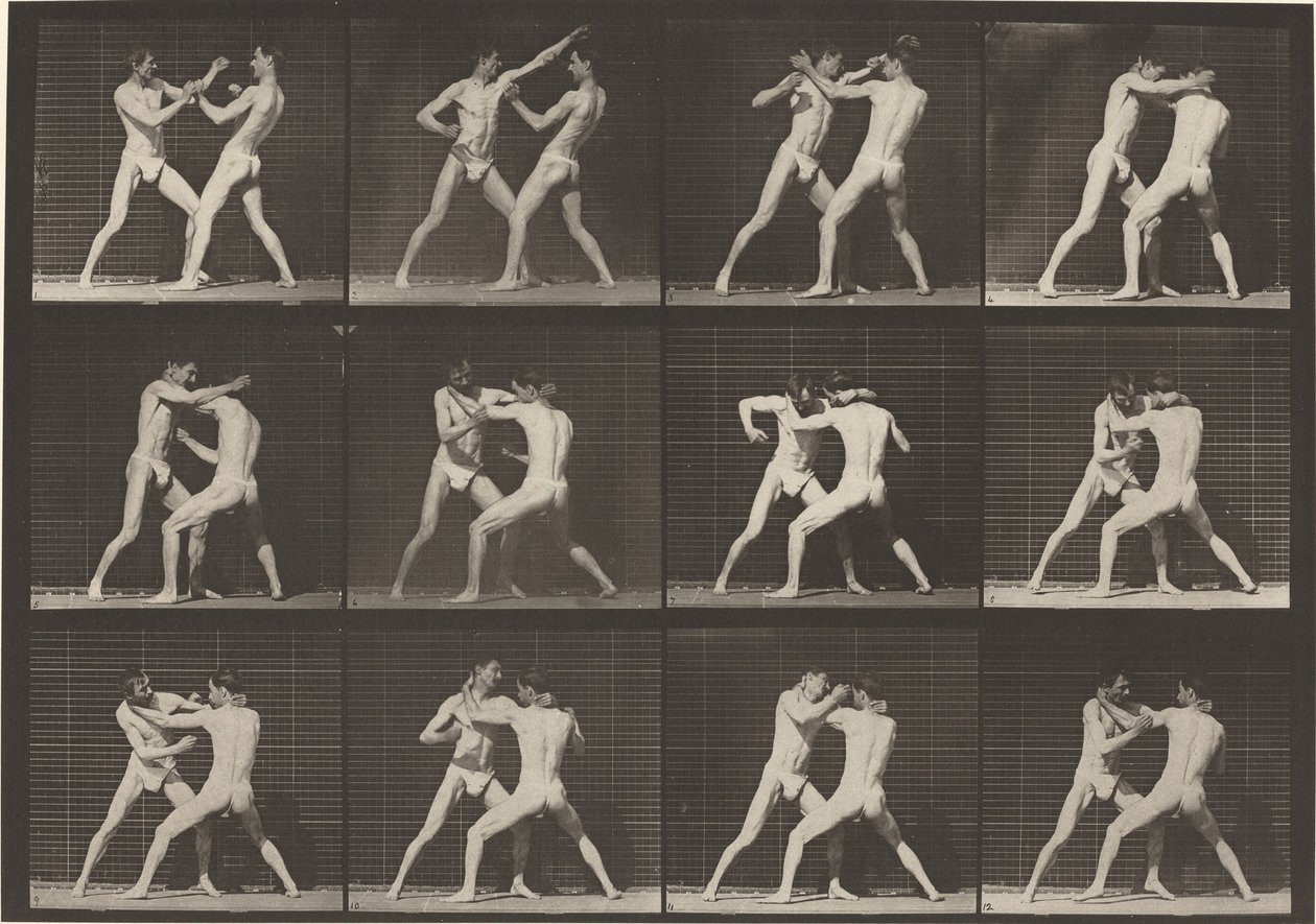 Plate Number 340. Boxing, open hand shoes by Eadweard Muybridge