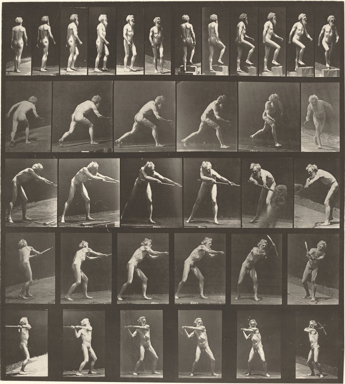 Plate Number 521. A: Walking. B: Ascending Step. C. Throwing Disk. D: Using Shovel by Eadweard Muybridge